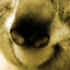 Stéphane TRAN's avatar